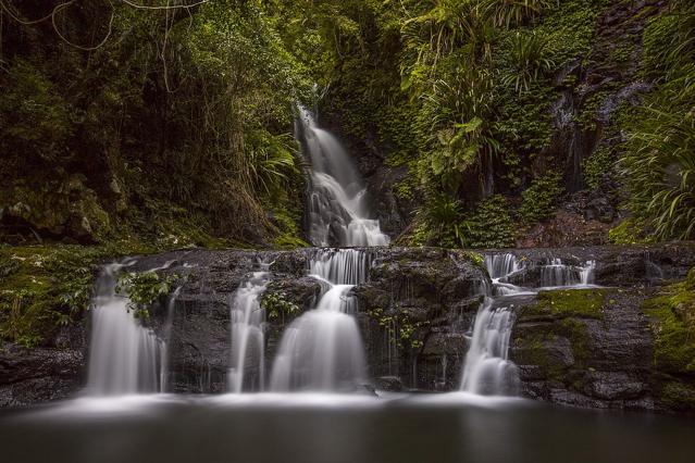 Lamington National Park